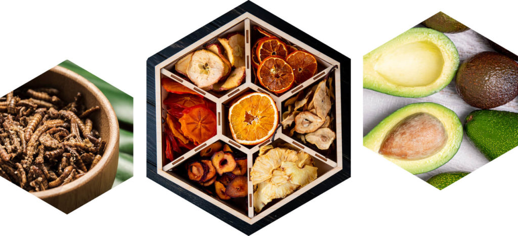 Idco-organique-Alimentaire-Sechage-insectes-fruits-Cuisson-Temperage