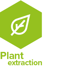 icon-presentation-idco-Plant-Extraction